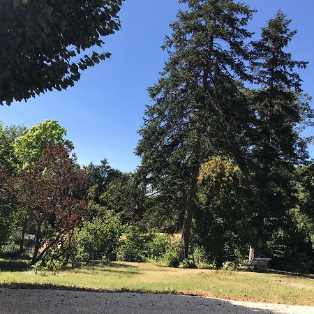 Charmant F1 Avec Terrasse Et Vue Sur Jardin Arbore - Fraicheur Naturelle Du Rez De Jardin - Parking Bellerive-sur-Allier Eksteriør bilde