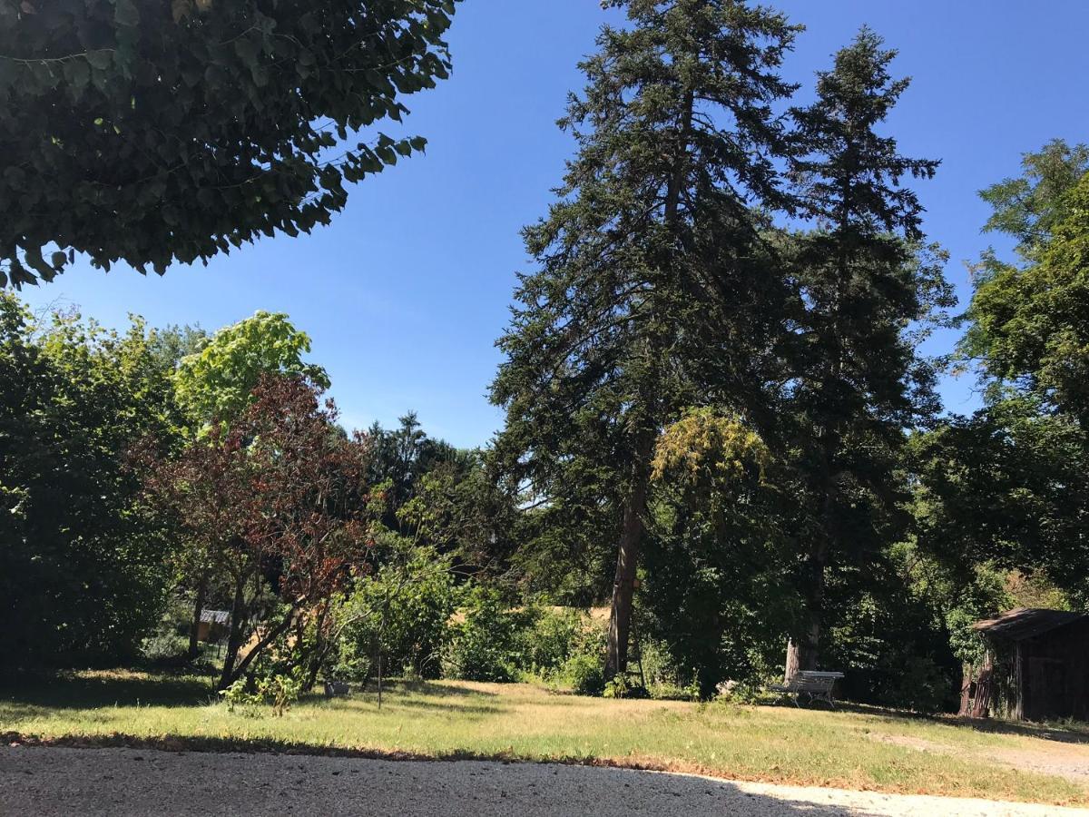 Charmant F1 Avec Terrasse Et Vue Sur Jardin Arbore - Fraicheur Naturelle Du Rez De Jardin - Parking Bellerive-sur-Allier Eksteriør bilde